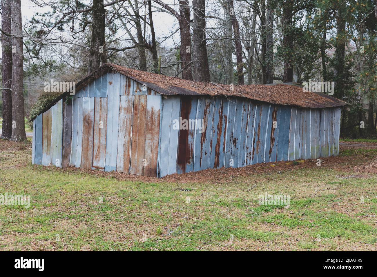 Abandoned blue barn with a rusting tin roof in woodland. Stock Photo