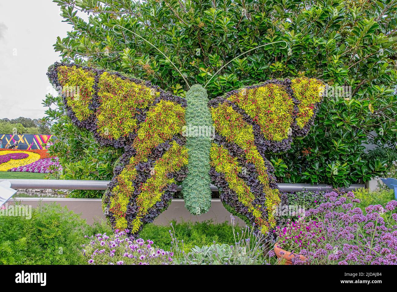 Butterfly topairy displayed at Epcot at part of the Flower and Garden festival Stock Photo