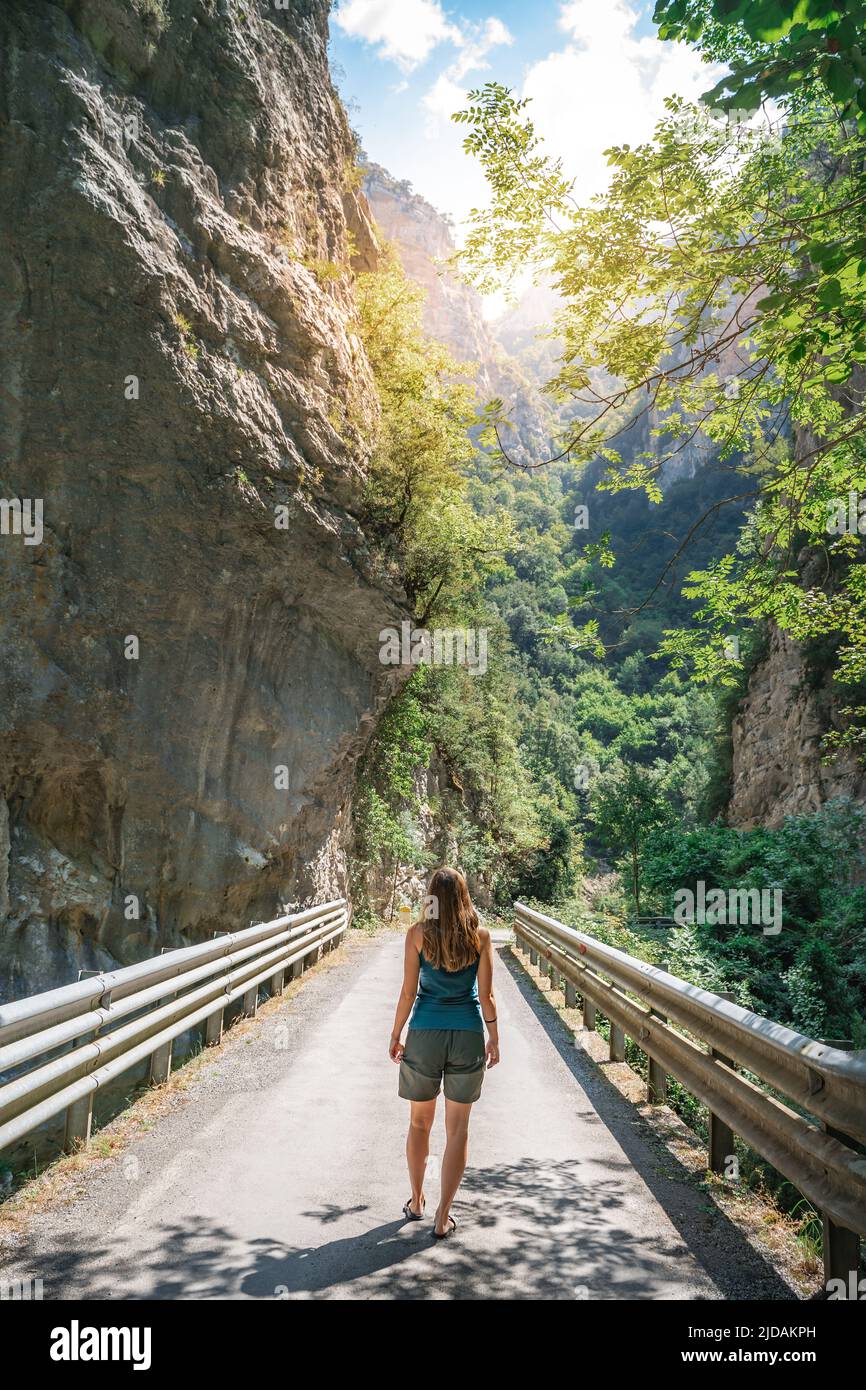 Attractive young woman in a beautiful summer landscape. Stock Photo