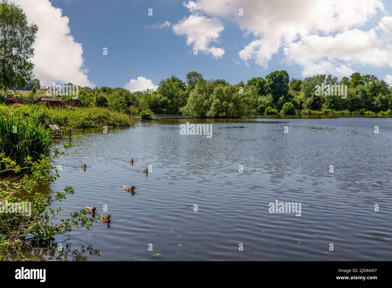 Stack Pools fishing lake in Springfield Park, Kidderminster