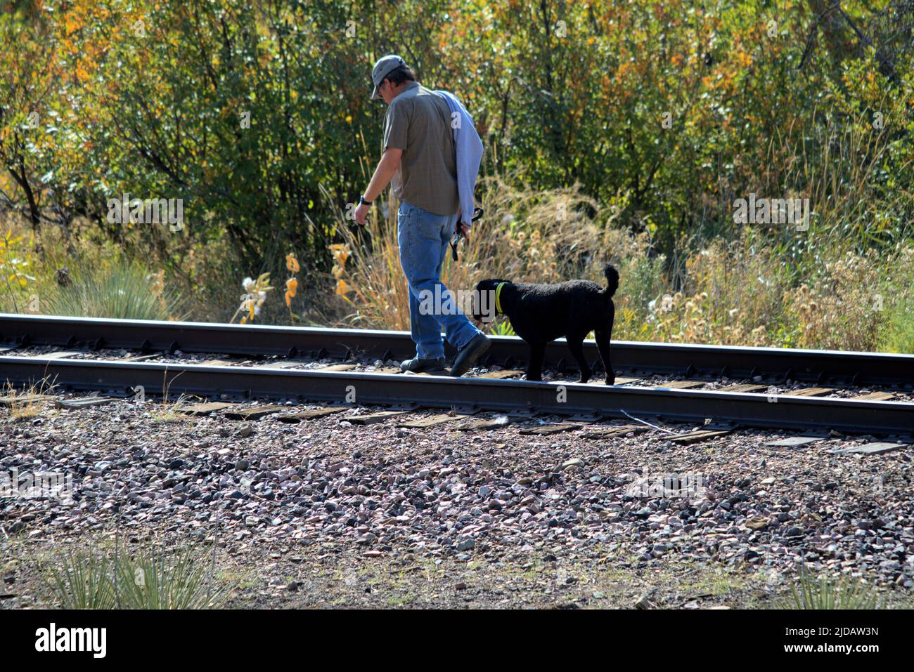 Man walks his dog along a railroad track in the shade of trees on the right side of the tracks. Stock Photo