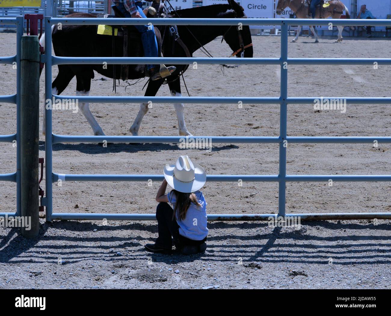 Young equestrien take a good seat at ringside to watch a horse competition. Stock Photo