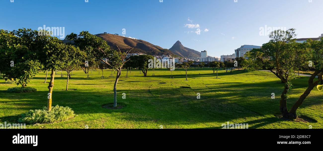 Green Point Park in Cape Town with Lion's Head peak in the distance