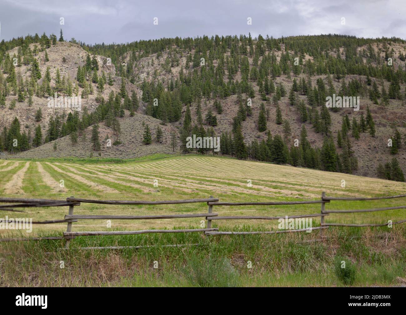 Rural landscape with wooden post and rail fence, mowed field and ...