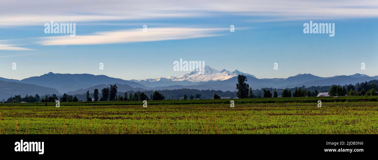 Surrey farm buildings hi-res stock photography and images - Alamy
