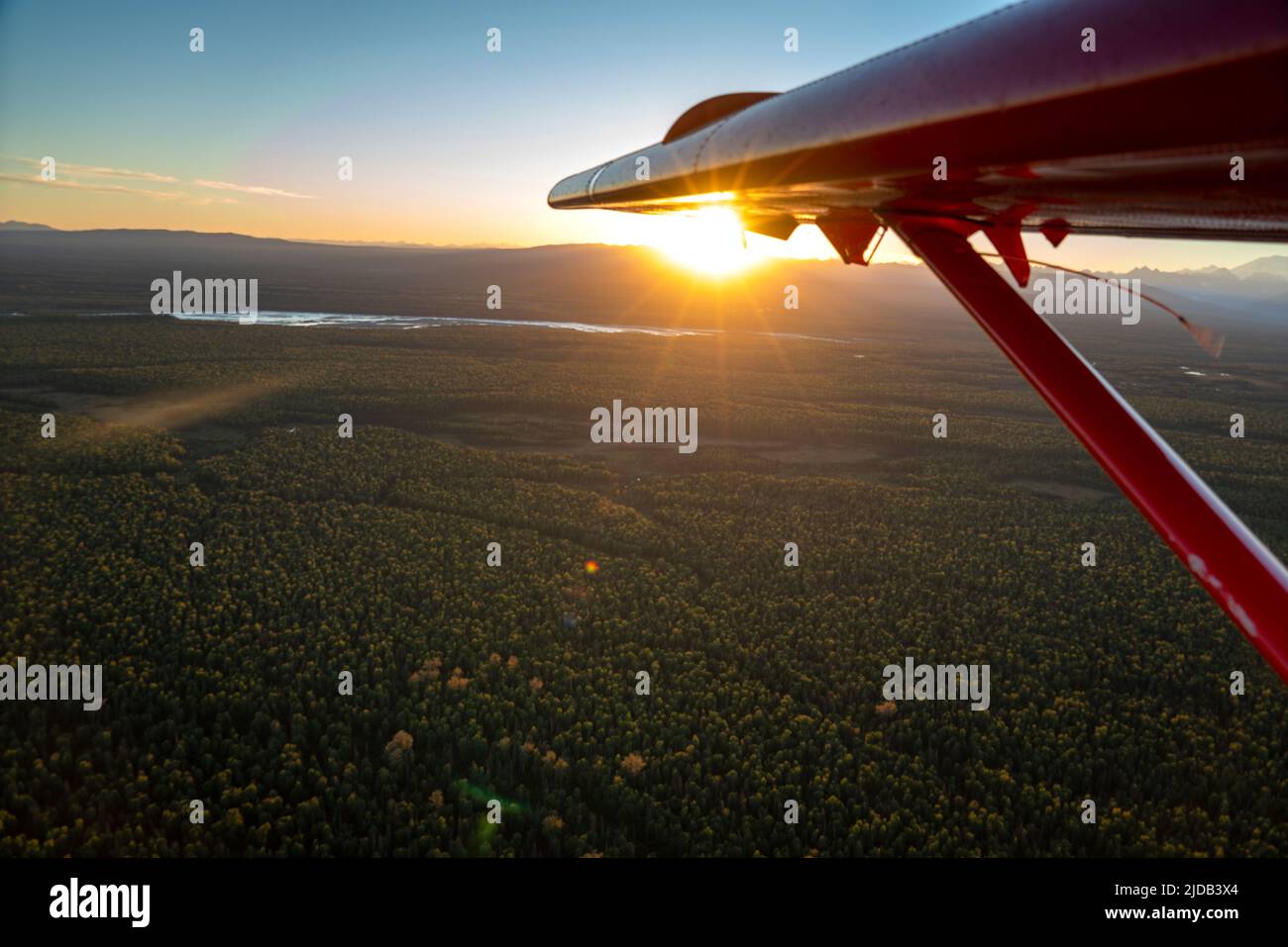Close-up of the wing of a De Havilland Otter aircraft flying over bush at sunset; Alaska, United States of America Stock Photo