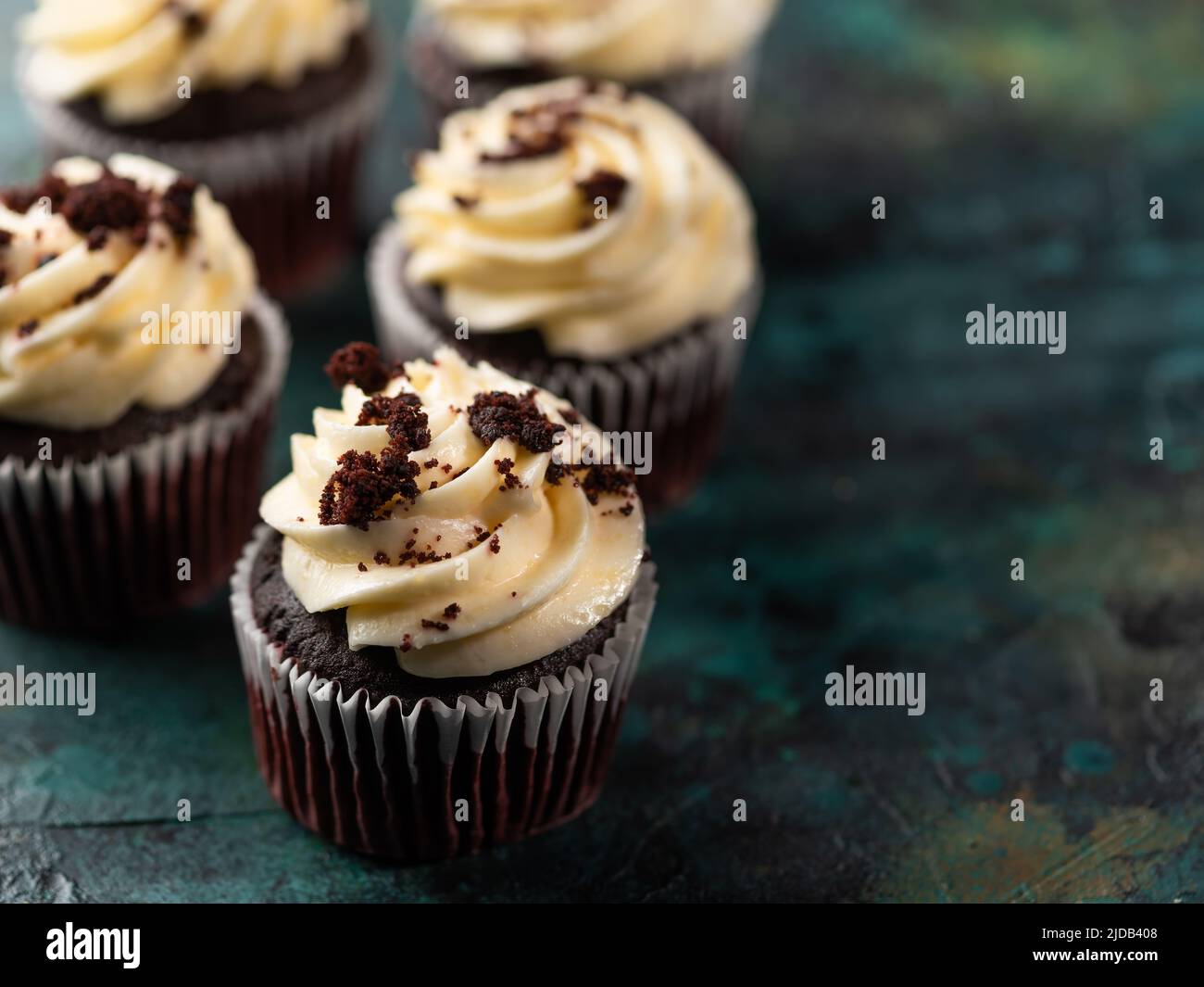 Two chocolate cupcakes or muffins with decoration Vector Image