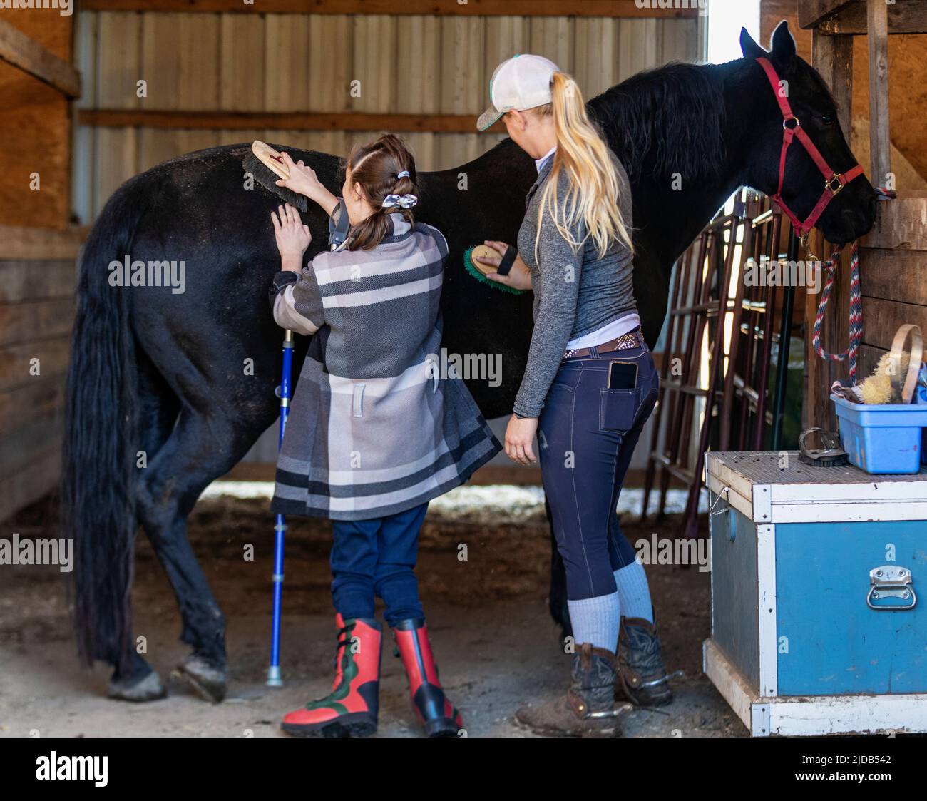 A trainer grooming a horse with a young girl with Cerebral Palsy during