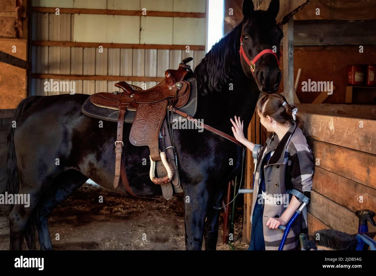 A young girl with Cerebral Palsy with a horse in a barn during a Hippotherapy session; Westlock, Alberta, Canada Stock Photo