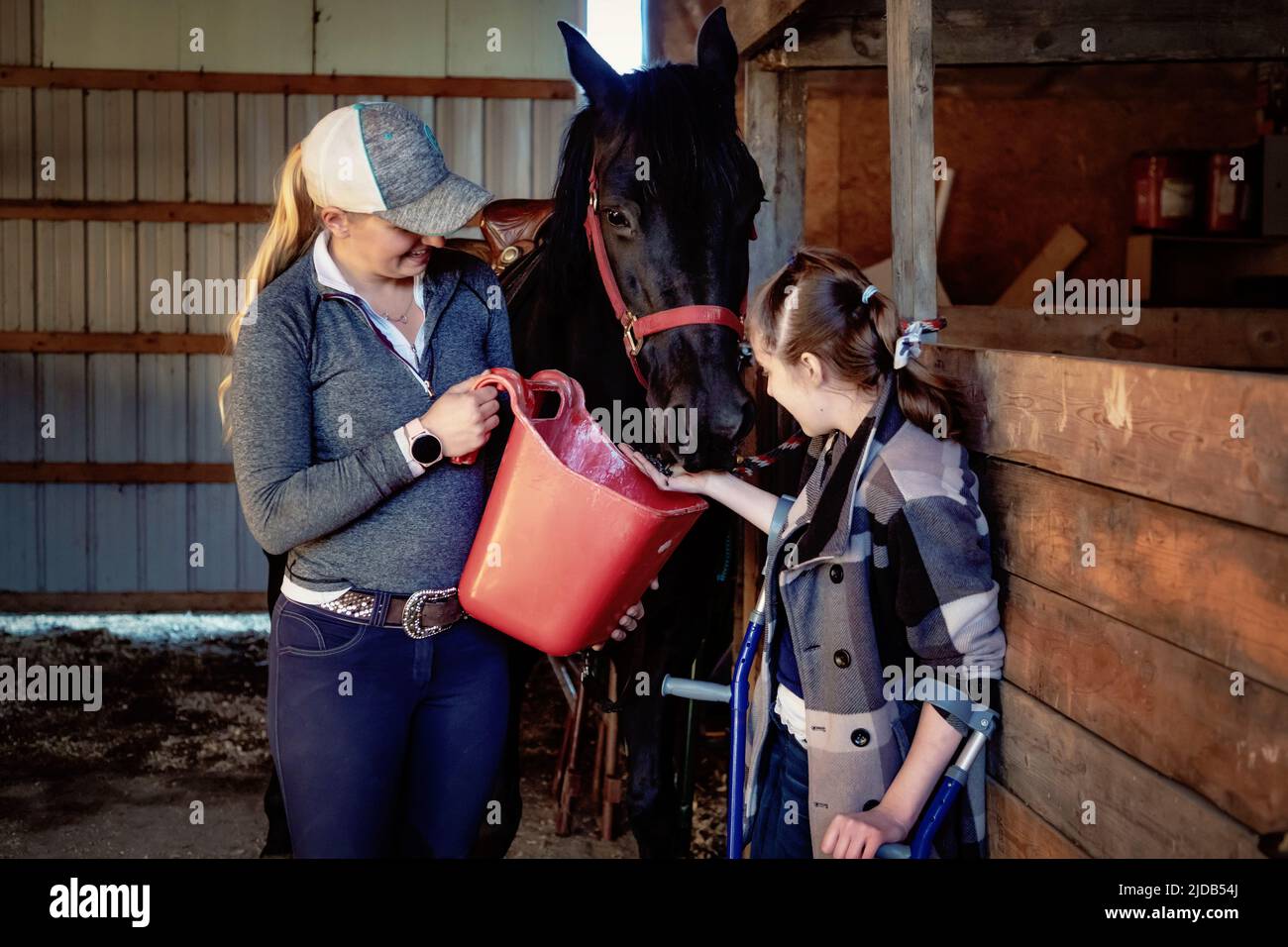 A young paraplegic girl feed a horse with her trainer during a Hippostherapy session; Westlock, Alberta, Canada Stock Photo