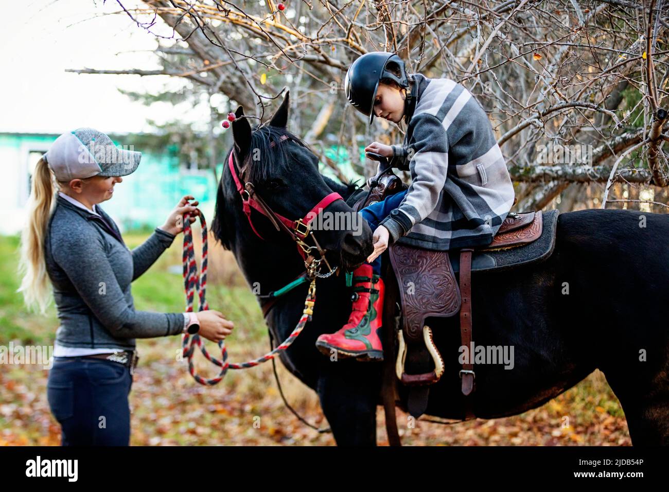 A young girl with Cerebral Palsy and her trainer stop to get a treat of apples for a horse during a Hippotherapy session; Westlock, Alberta, Canada Stock Photo