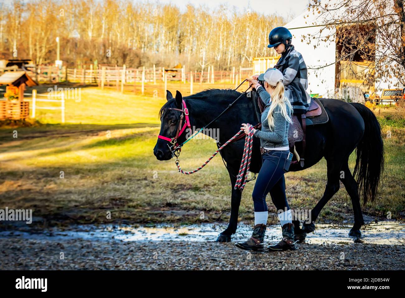 A young girl with Cerebral Palsy and her trainer working with a horse during a Hippotherapy session; Westlock, Alberta, Canada Stock Photo
