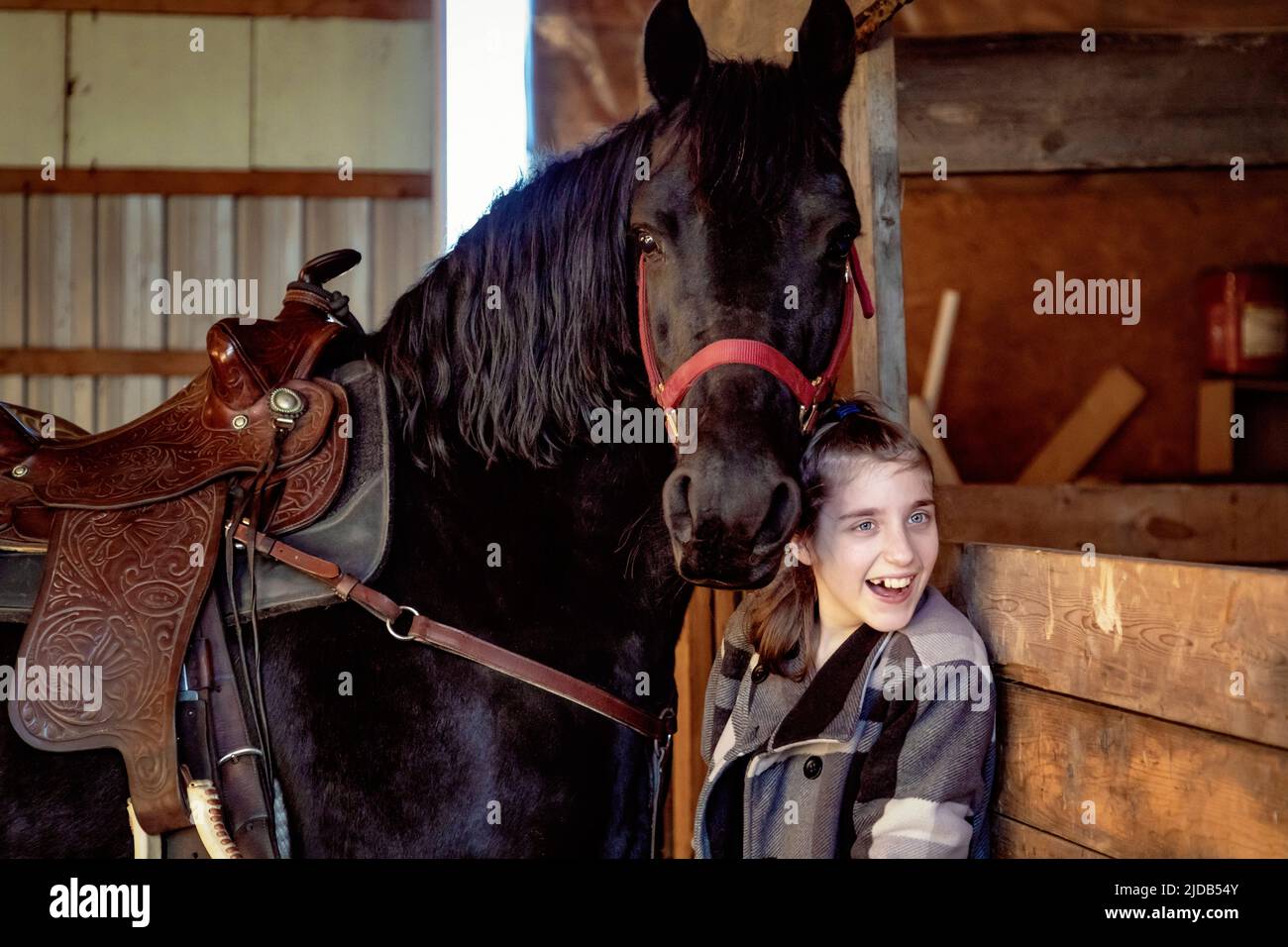 A young girl with Cerebral Palsy with a horse in a barn during a Hippotherapy session; Westlock, Alberta, Canada Stock Photo