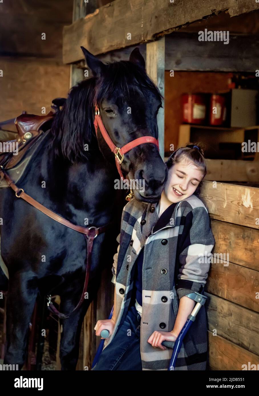 A young girl with Cerebral Palsy with a horse in a barn during a Hippotherapy session; Westlock, Alberta, Canada Stock Photo