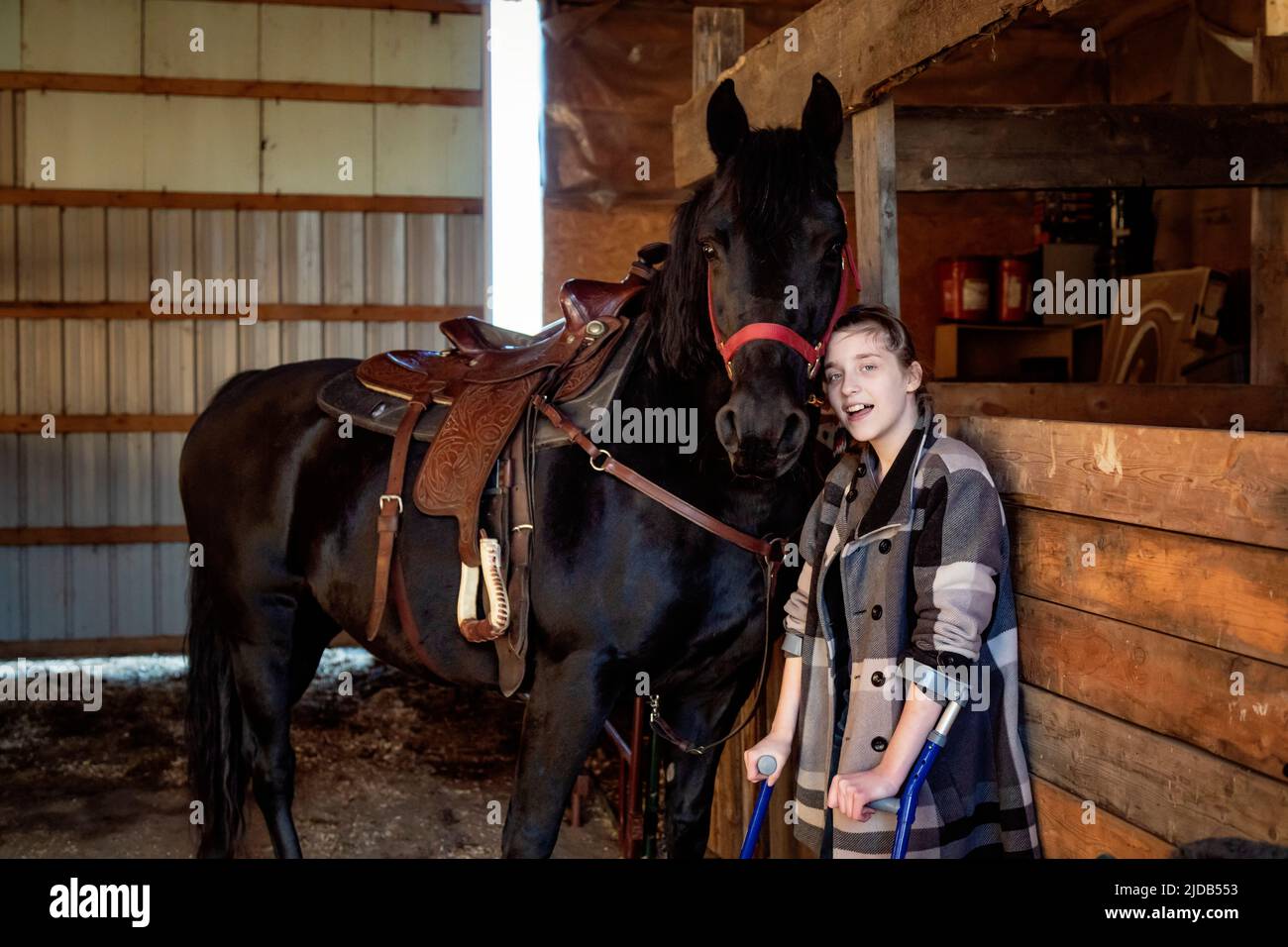 A young girl with Cerebral Palsy with a horse in a barn during a Hippotherapy session; Westlock, Alberta, Canada Stock Photo