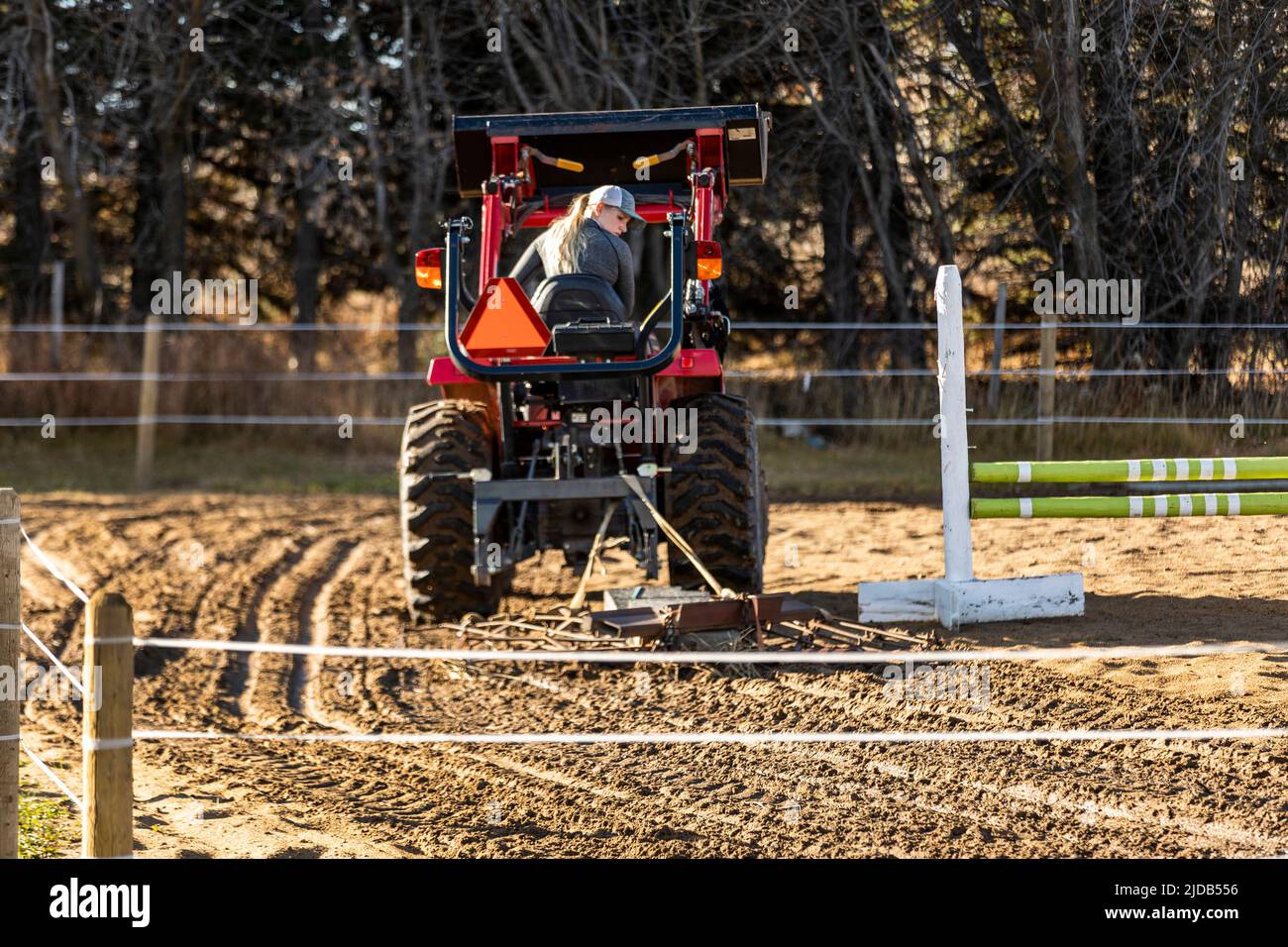 Corral Rake Horse looking over shoulder hi-res stock photography and images - Alamy