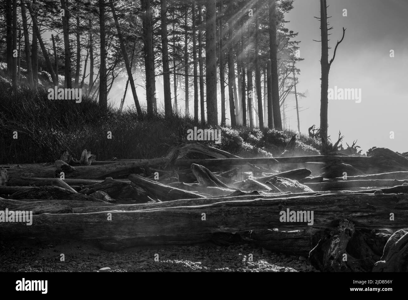 Warm sunny image Black and White Stock Photos & Images - Alamy