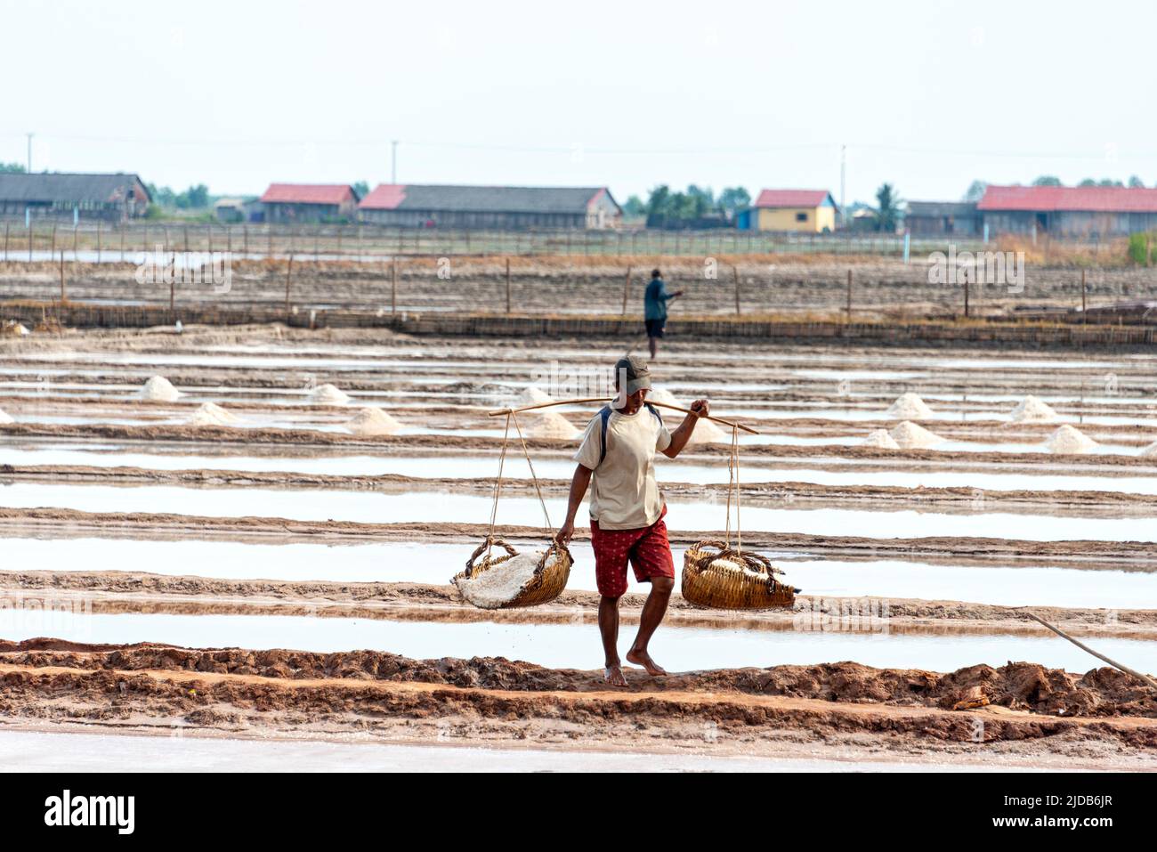 A man carries baskets of rice along the rows in a farming community in Southern Cambodia; Kampot, Cambodia Stock Photo