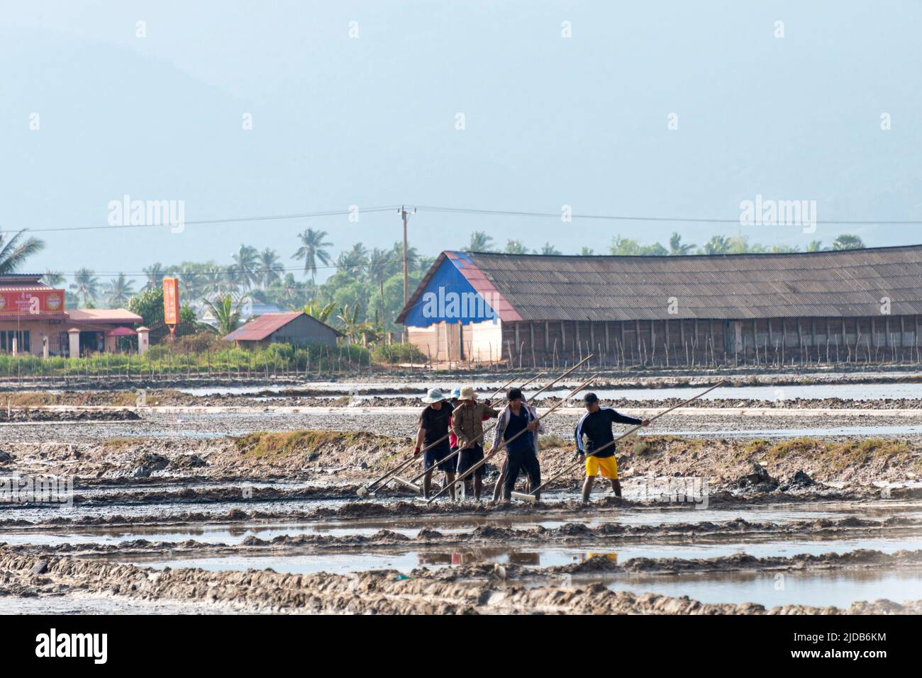 Rice farming in a farming community in Southern Cambodia; Kampot, Cambodia Stock Photo