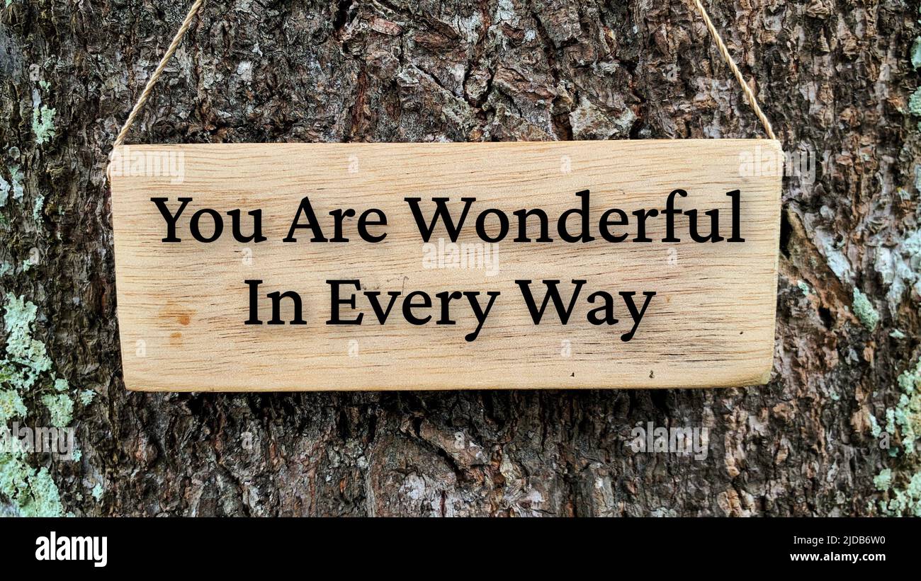 Inspirational quote text on wooden banner - You are wonderful in every way. With tree and nature background. Inspirational concept Stock Photo