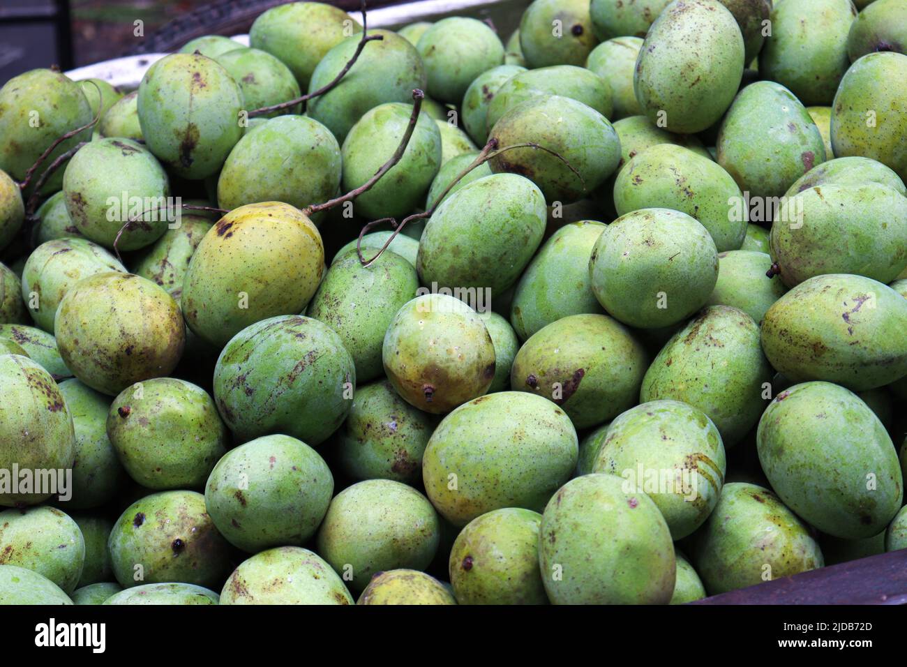 Ripe mango pickle hi-res stock photography and images - Alamy
