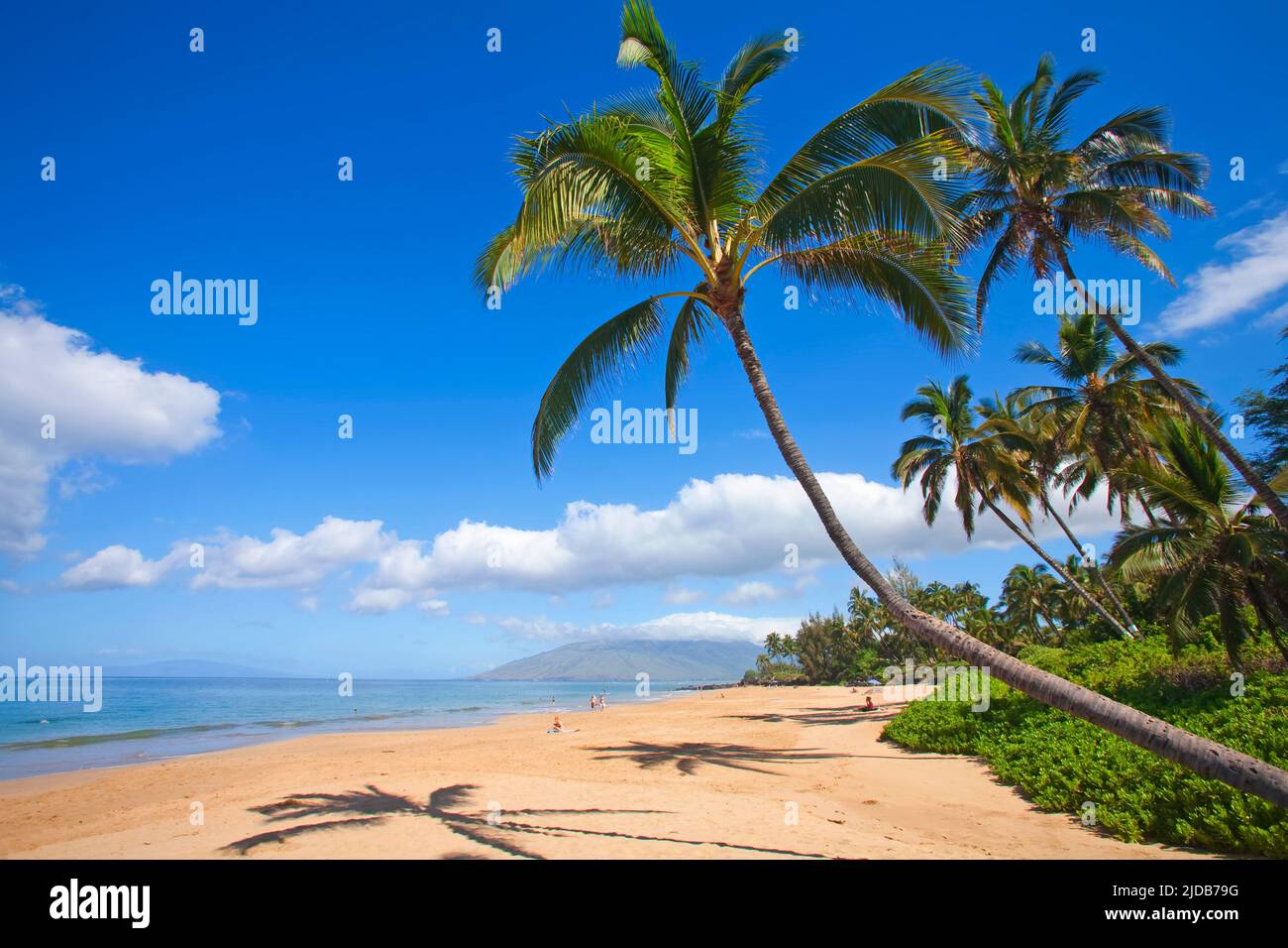 Coconut palm and palm silhouettes on sand. Kamaole Beach Park 1, West Maui Mountains in distance, Kihei, Maui, Hawaii Stock Photo