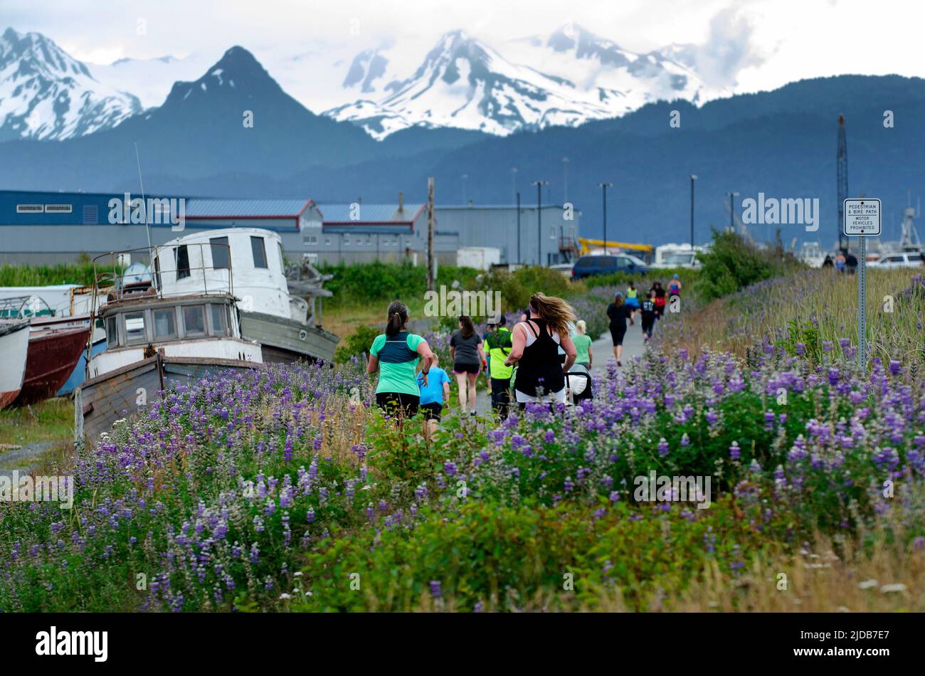 The Kachemak Bay Running Club's annual Spit Run, June 26, 2016. About 300 participants took part. Stock Photo