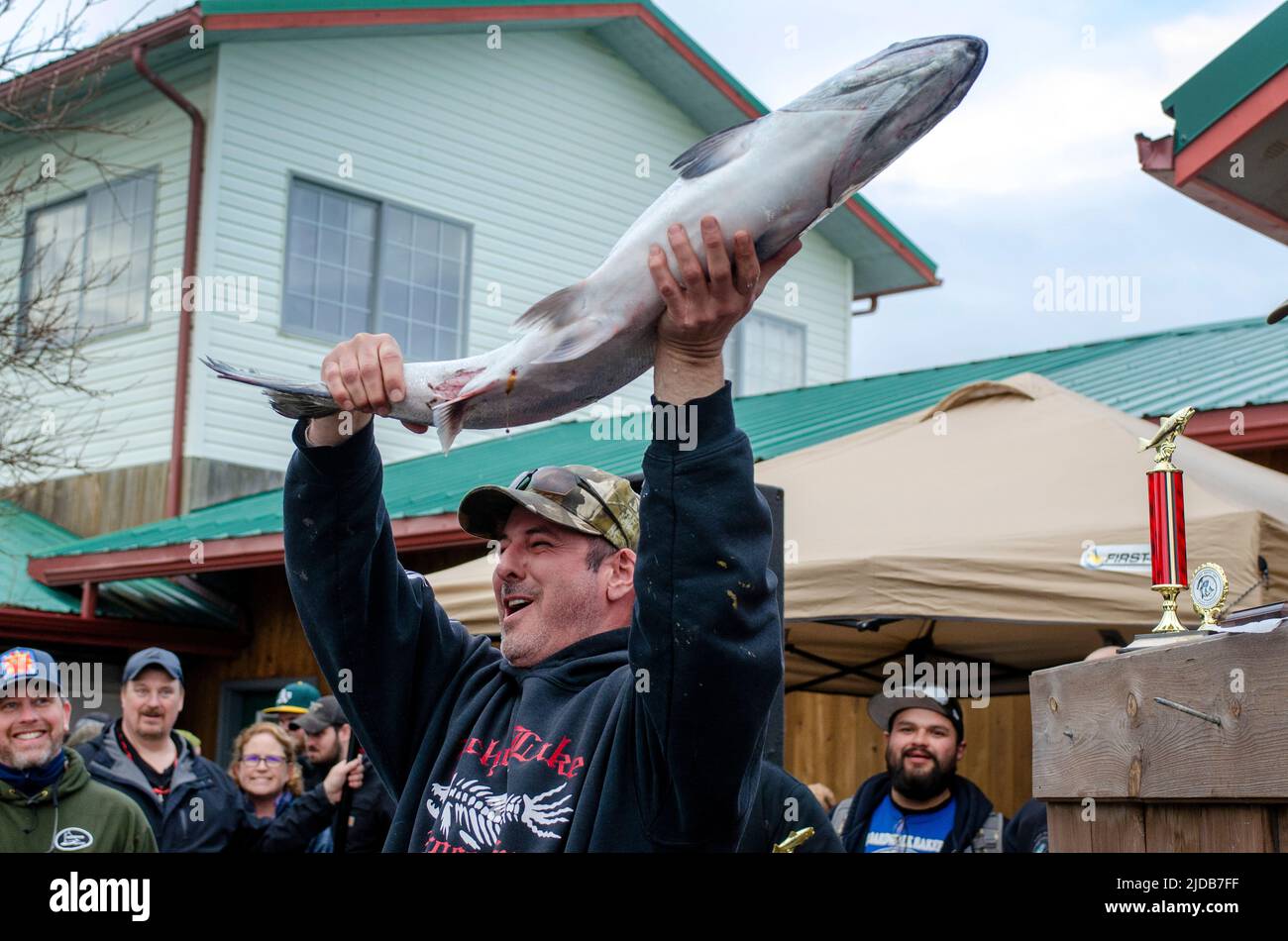 Chad Webb holds his 2nd place fish during the weigh-in and awards ceremony at the 26th annual Homer Winter King Salmon tournament in March 2019. Stock Photo