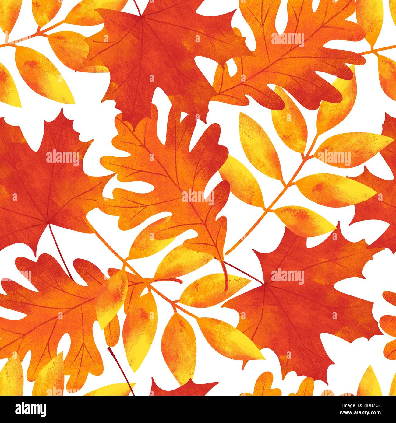 Hand drawn seamless pattern with fall autumn leaf leaves berry berries ...