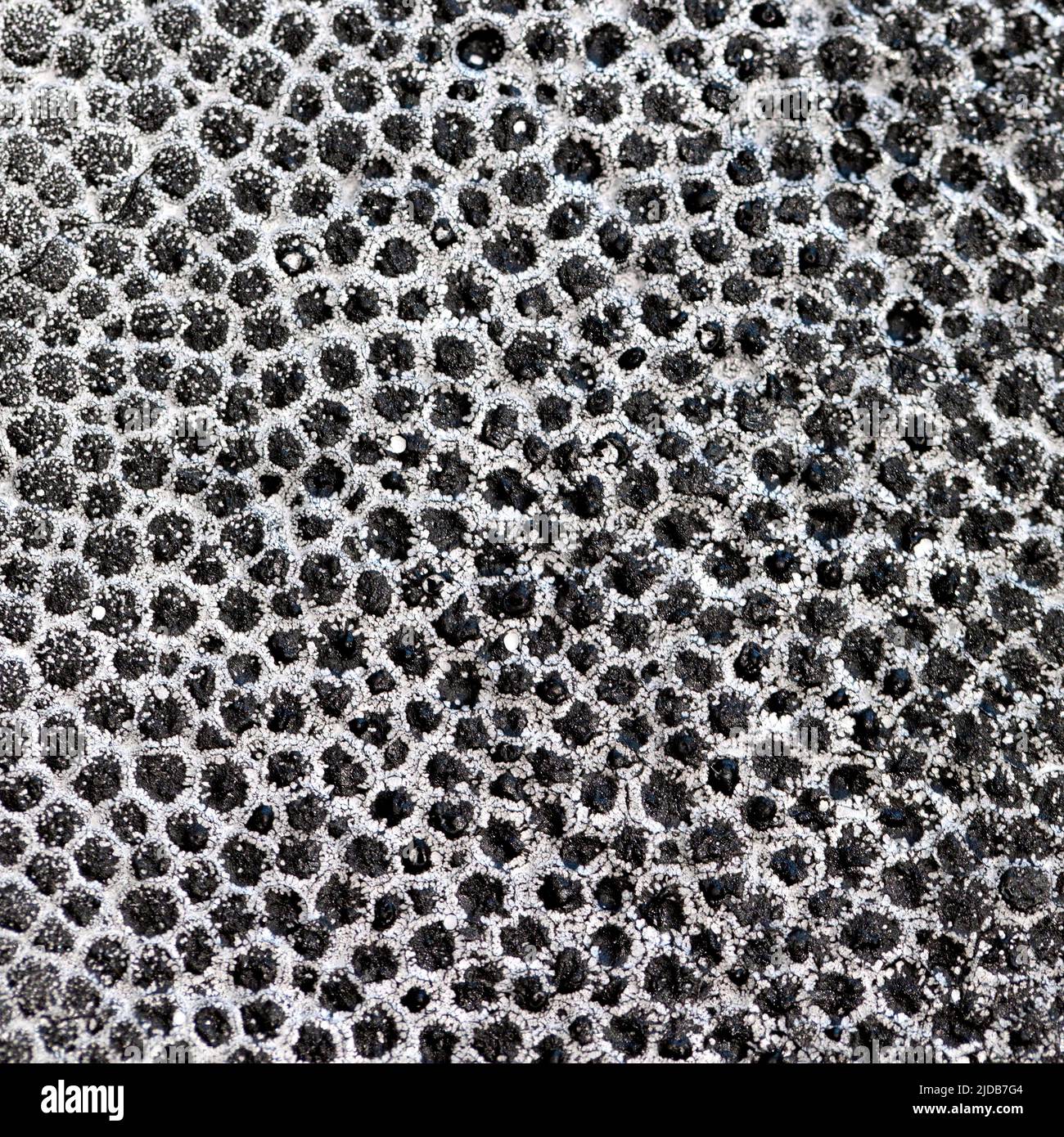 Black and white abstract polystyrene foam textured background Stock Photo