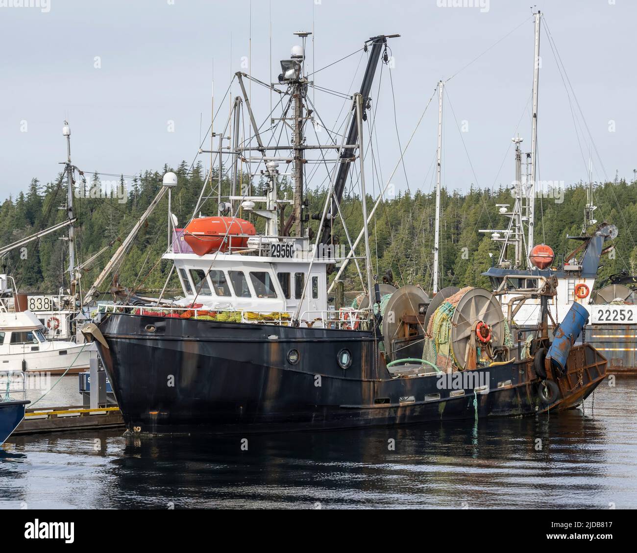 Fishing boat moored in the harbour of Ucluelet, Vancouver Island; Ucluelet, British Columbia, Canada Stock Photo