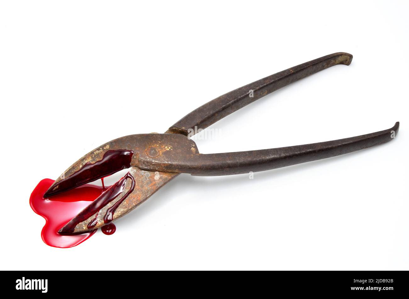 cutter tongue with blood Stock Photo Alamy