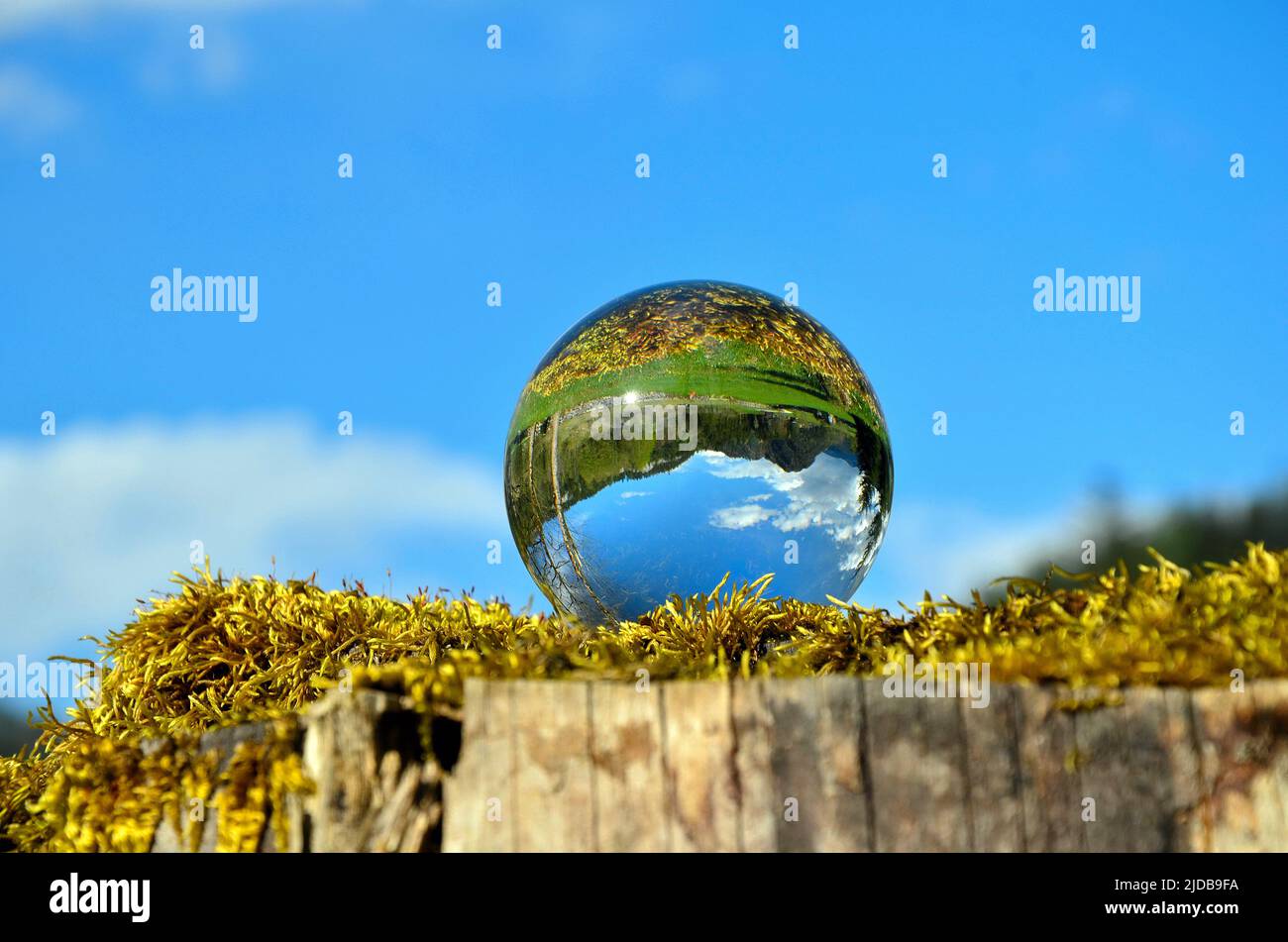 Glass ball background hi-res stock photography and images - Alamy