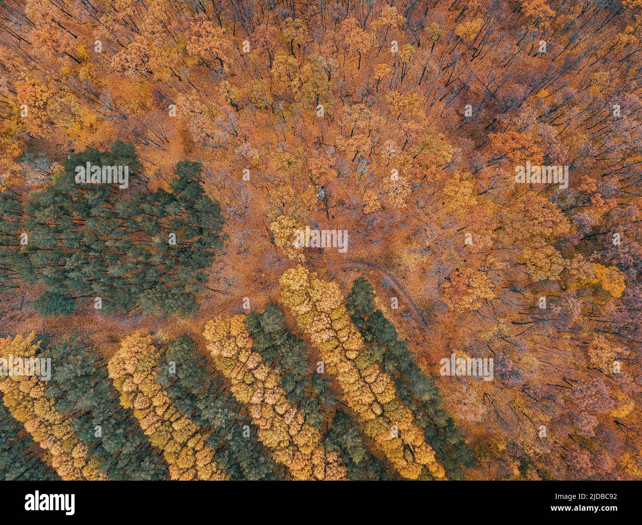 Aerial view of an autumn city park with walking paths Stock Photo - Alamy