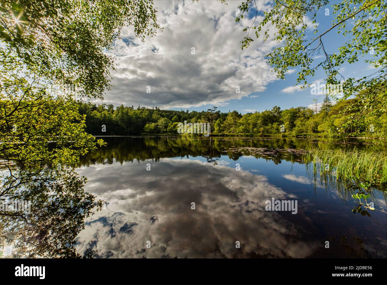 Finsthwaite, Cumbria, UK. 19th June 2022. UK Weather. Warm early evening sunshine and blue sky from High Dam in the English Lake District. Credit greenburn/Alamy Live News. Stock Photo