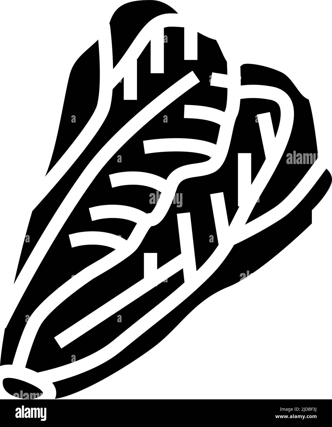 lettuce cabbage glyph icon vector illustration Stock Vector Image & Art ...