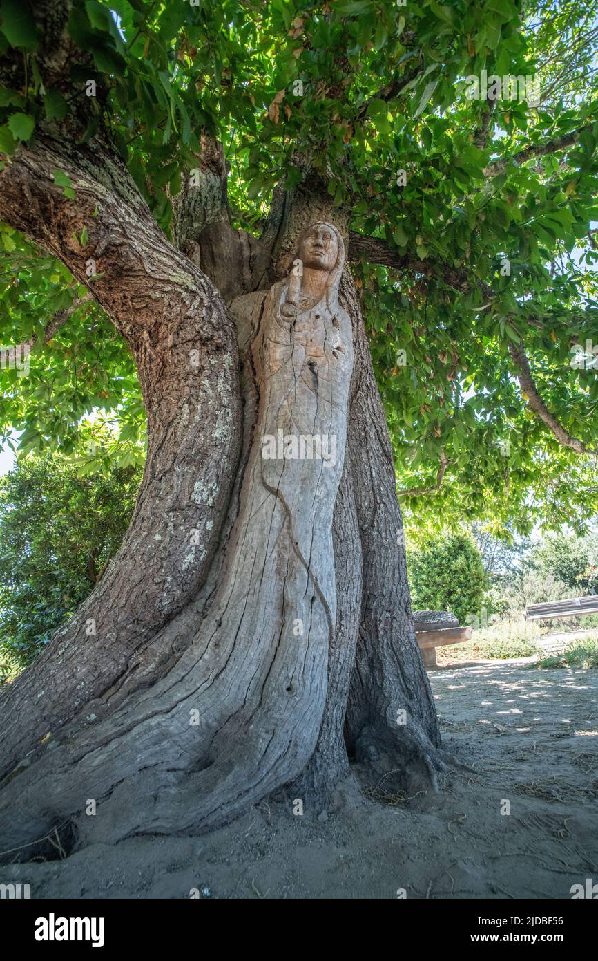 Mother and child native american statue carved into the wood of a chestnut tree in Ragle ranch regional park in Sebastopol, California. Stock Photo
