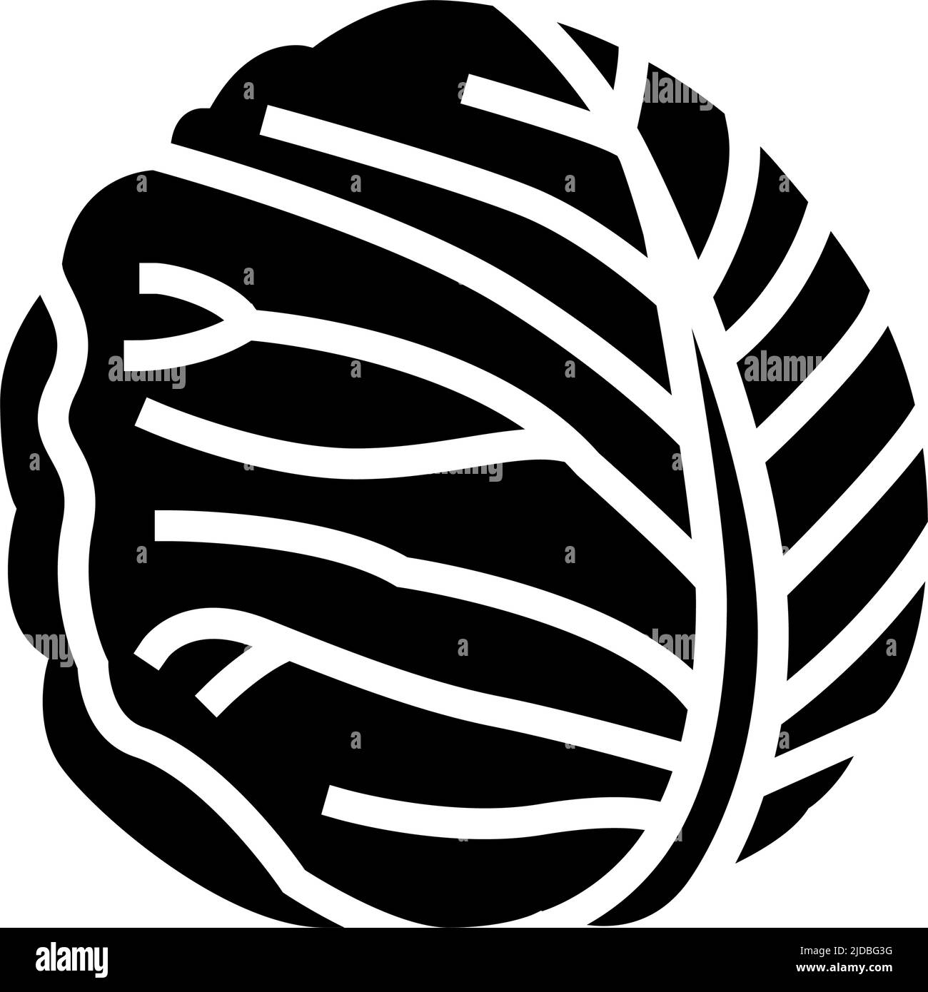 white cabbage glyph icon vector illustration Stock Vector Image & Art ...