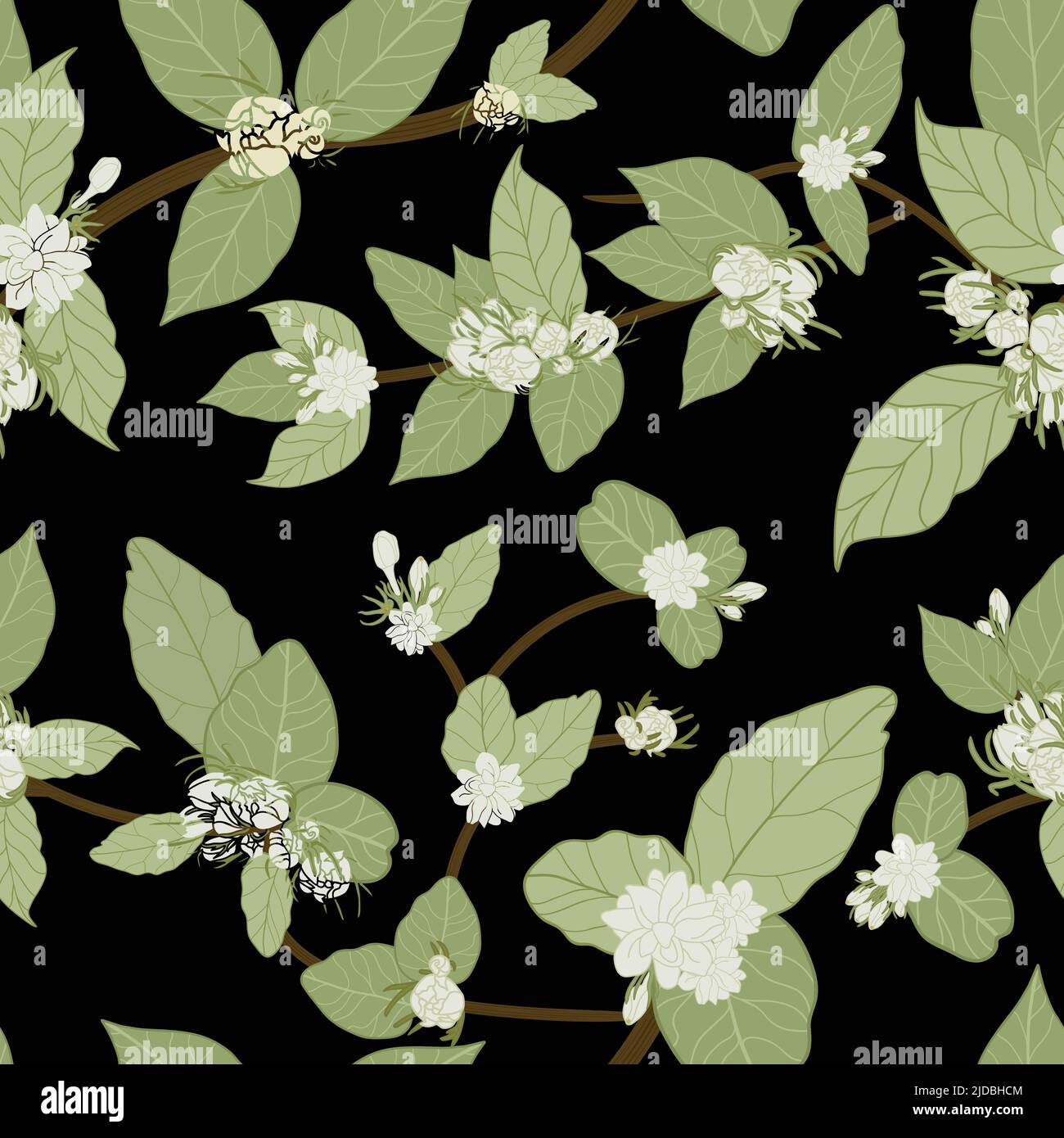 White jasmine vines with cute green leaves and black background silhouettes. Vector seamless background pattern.Perfect for fabric, wallpapers,textile Stock Vector
