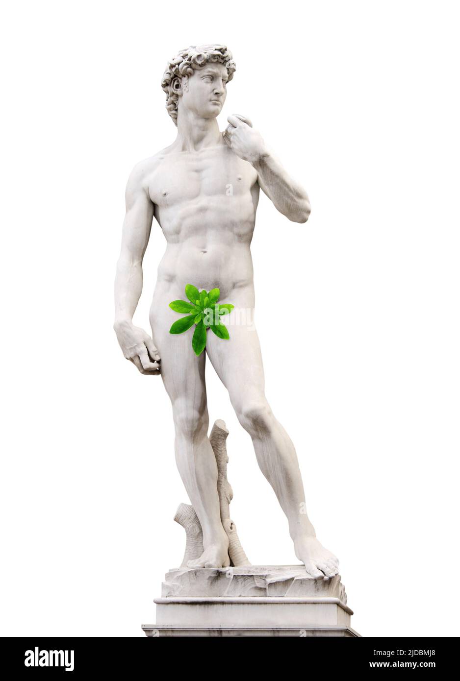 Censored concept. Michelangelo's David statue with green leaf. Leaf