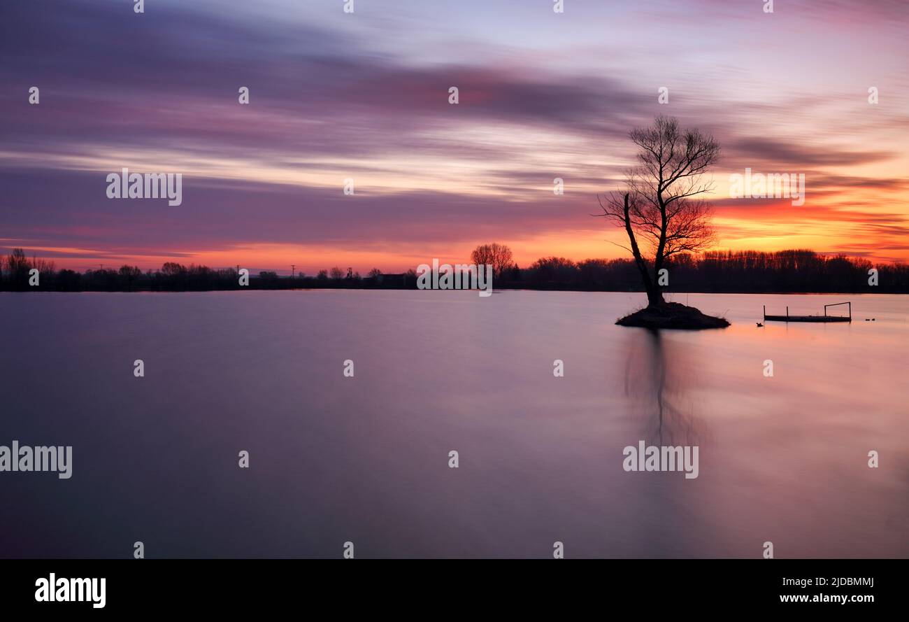 Pond at sunset with silhouette tree, water landscape Stock Photo - Alamy