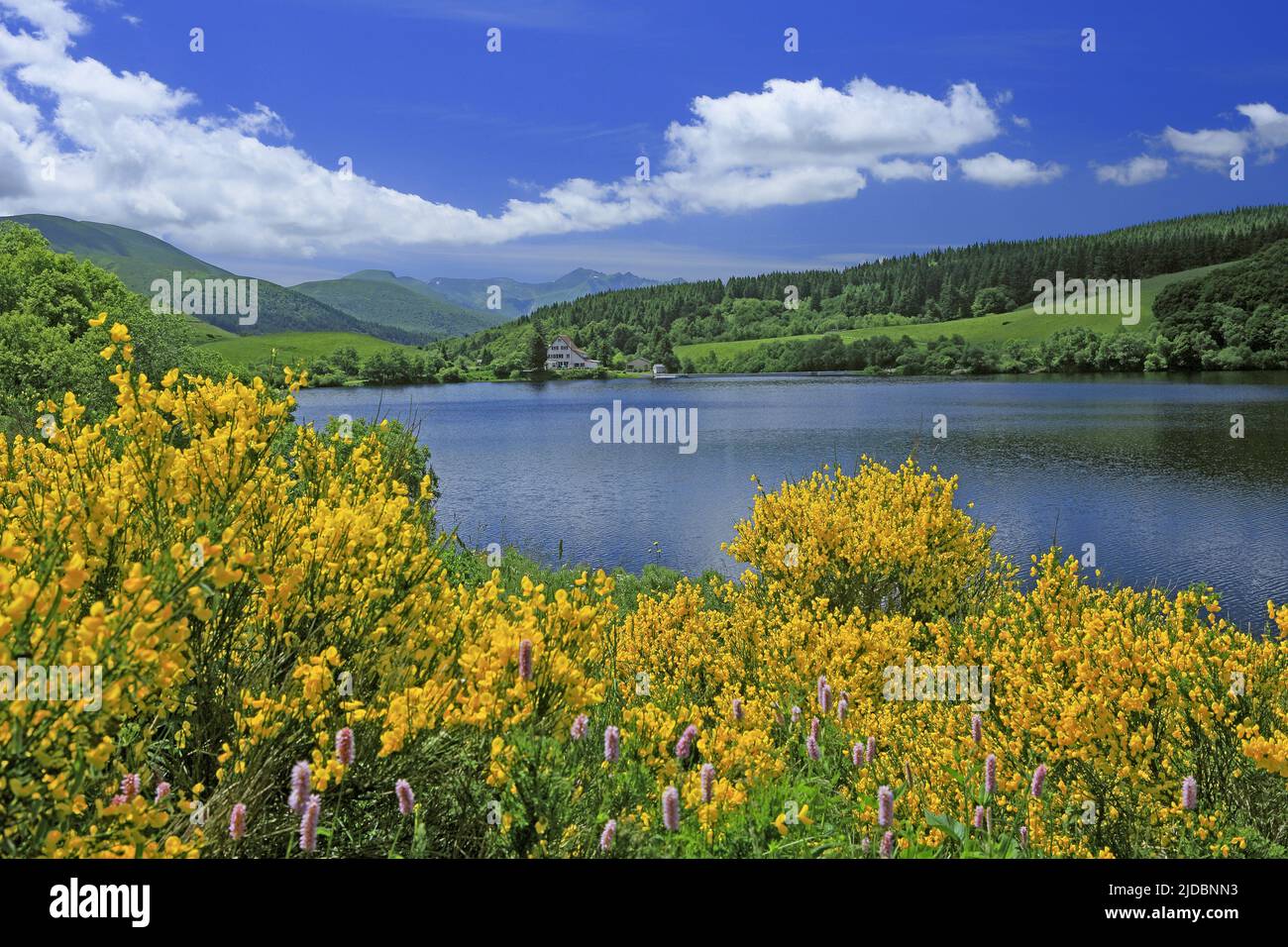 France, Puy-de-Dôme Lake Guéry mountain lake of volcanic origin located in the Massif des Monts Dore Stock Photo