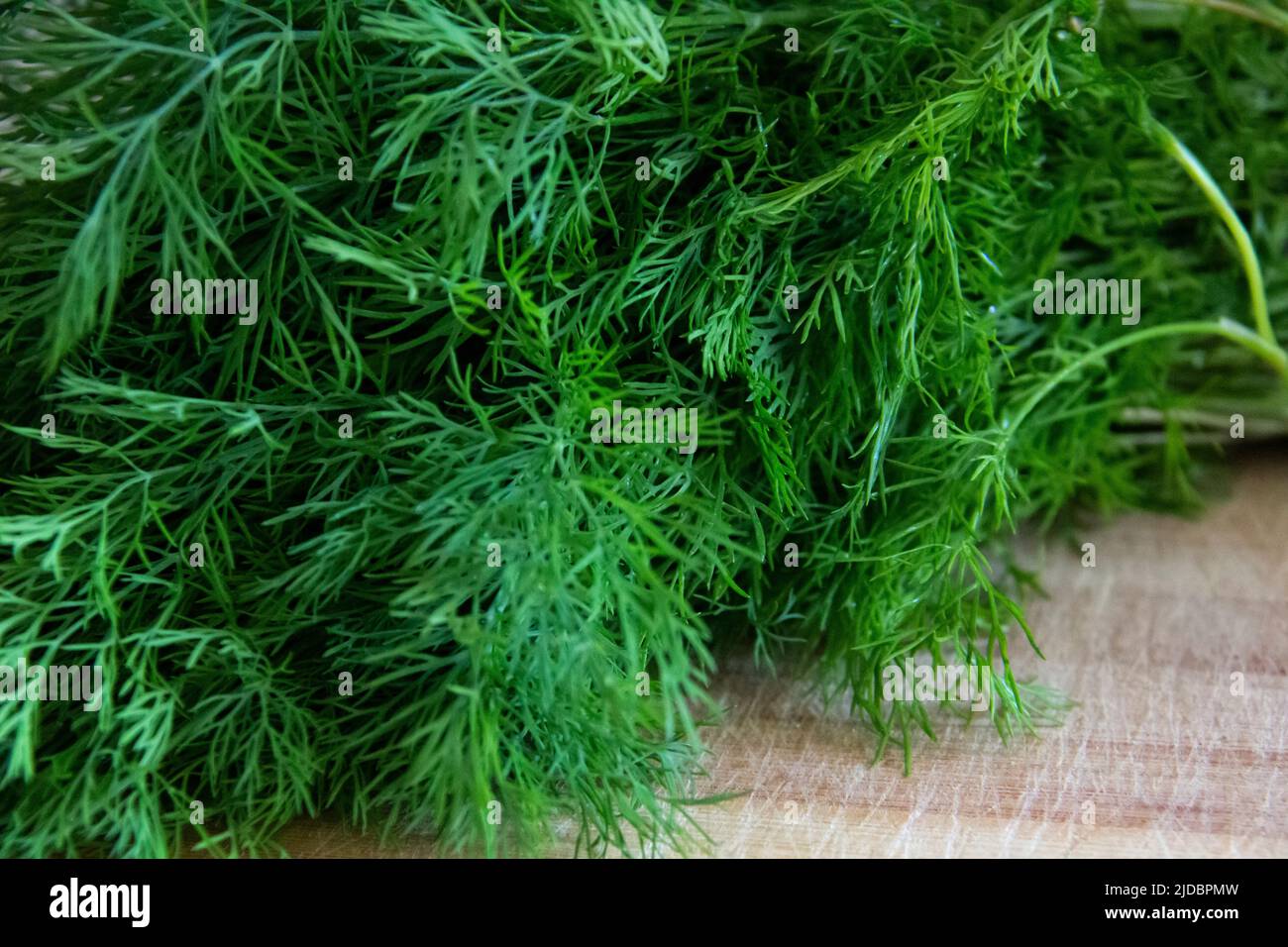 A green bunch of dill on a cutting board. Vegetarian fresh seasoning dill, lots of dill greens on a table. Stock Photo