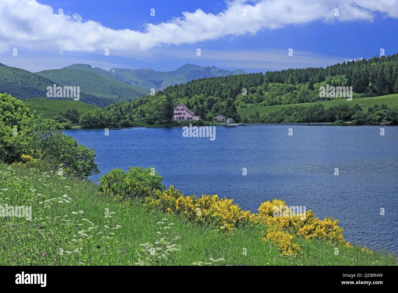 France, Puy-de-Dôme Lake Guéry mountain lake of volcanic origin located in the Massif des Monts Dore Stock Photo
