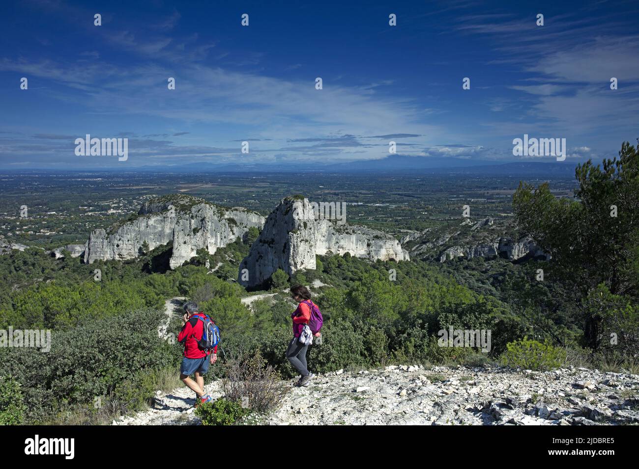 France, Bouches-du-Rhône The Alpilles massif, landscape from the Caume ...