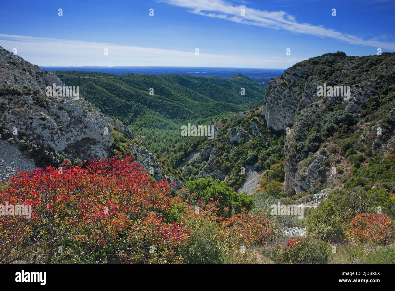 France, Bouches-du-Rhône The Alpilles massif, landscape from the Caume ...