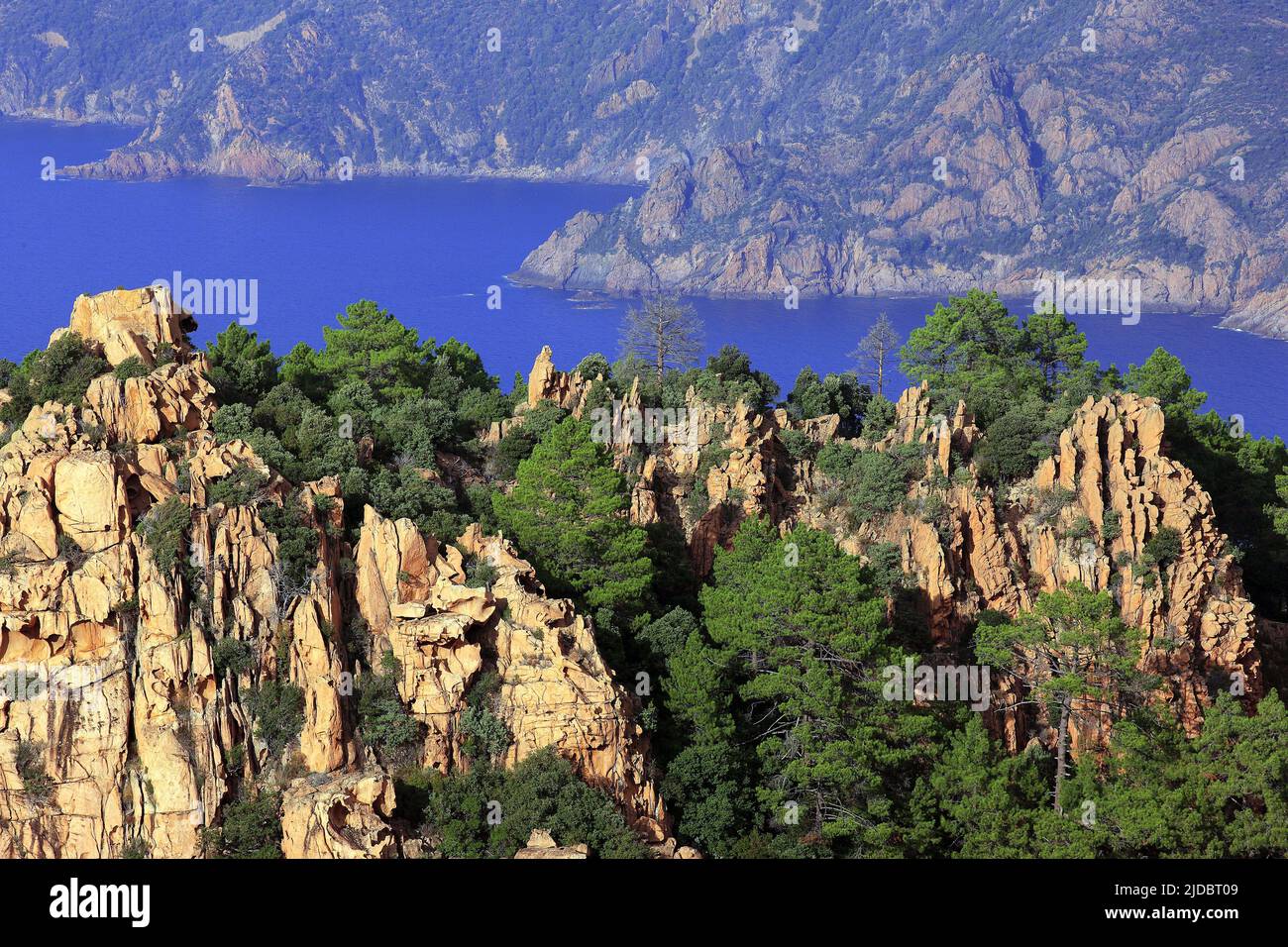 France, Corsica Piana, the Calanches, the Gulf of Porto, Natural site in Corse-du-Sud Stock Photo