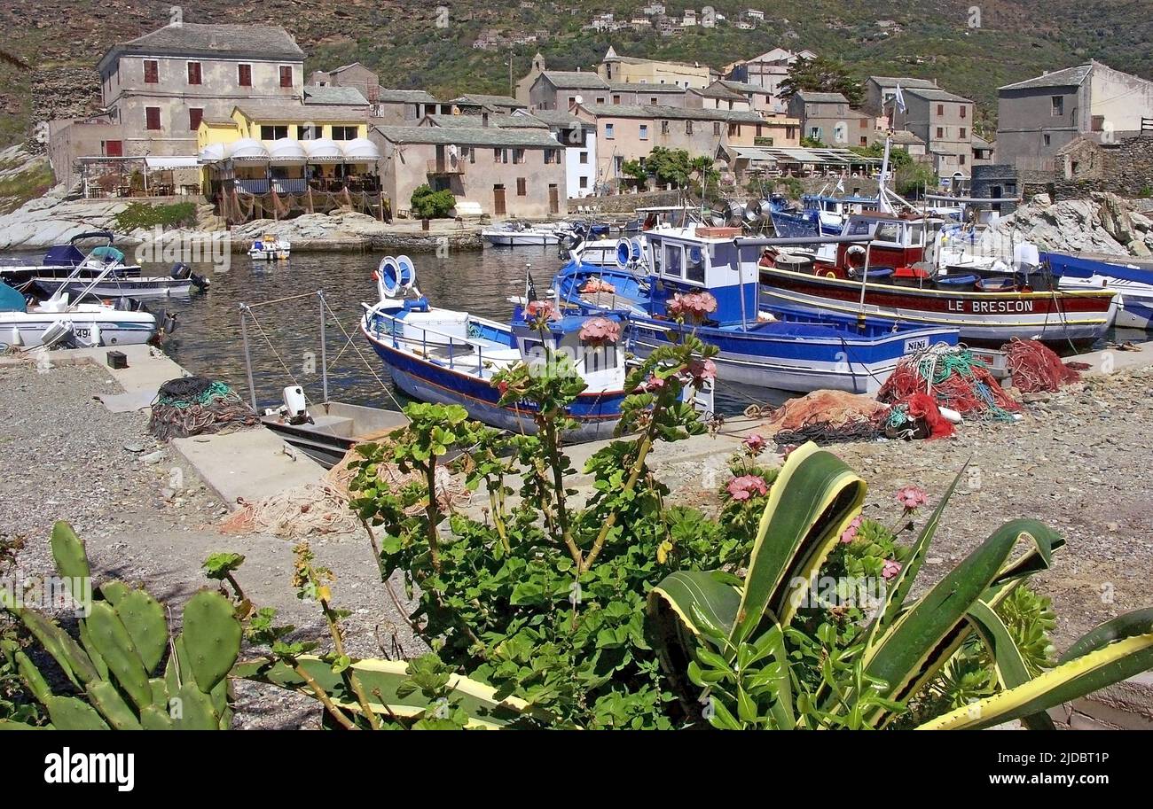 France, Corsica Centuri, Cap-Corse, the small port of Centuri Stock Photo