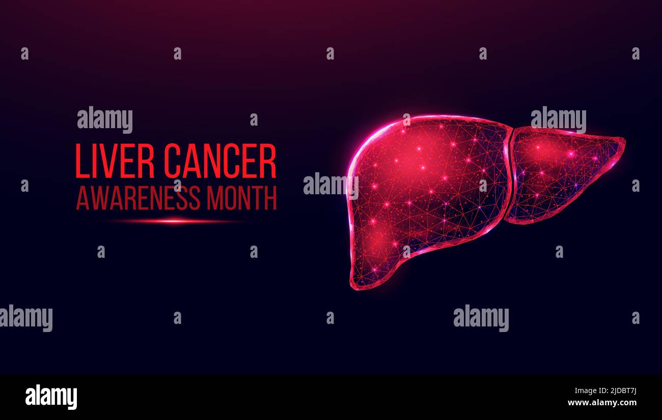 Human liver. Wireframe low poly style. Concept for medical, treatment ...