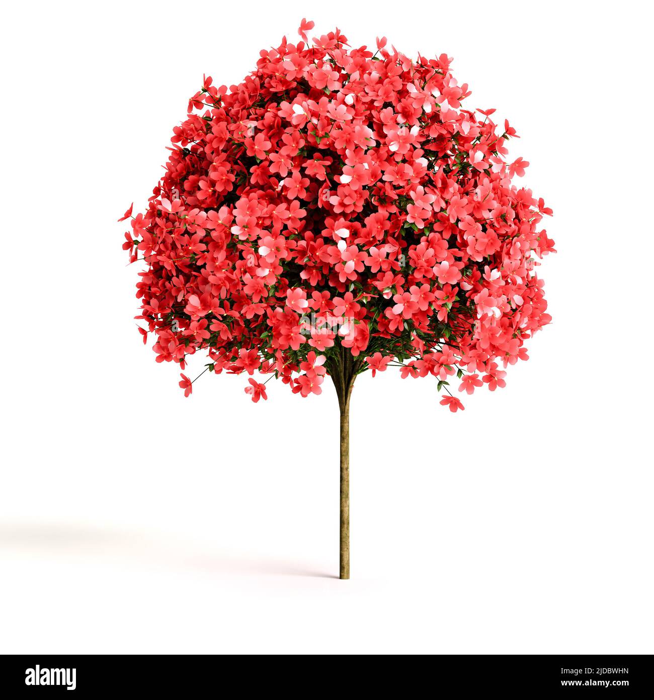 3d illustration of flowering shrubs Stock Photo